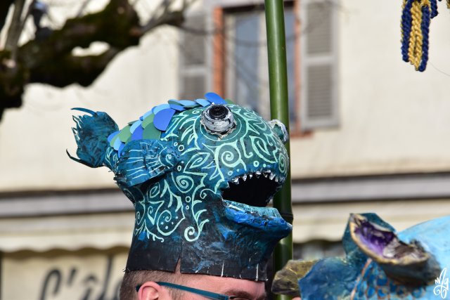 DSC_0535